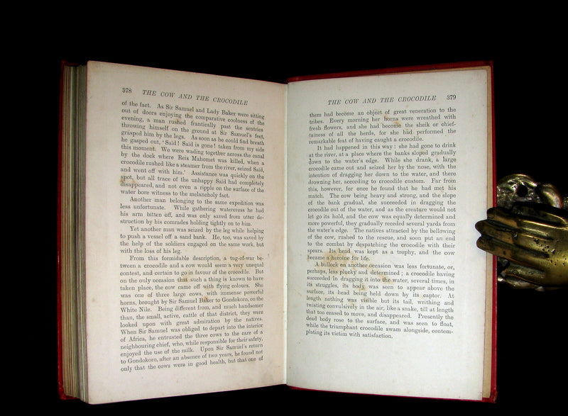 1899 Rare 1stEd Book - The RED BOOK of ANIMAL STORIES by Andrew Lang Illustrated by H.J. FORD.