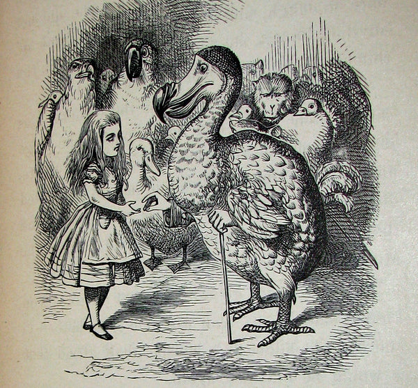 1882 Rare Victorian Book - Alice's Adventures in Wonderland by Lewis Carroll.