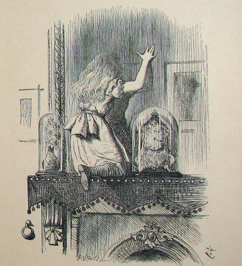 1877 Rare Victorian Book - Through the Looking Glass, and What Alice Found There by Lewis Carroll.