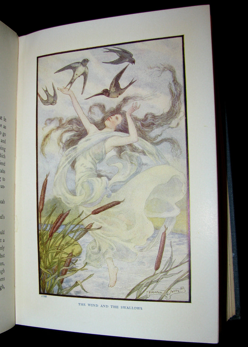 1911 Rare Edition - AT THE BACK OF THE NORTH WIND by George MacDonald. Illustrated.