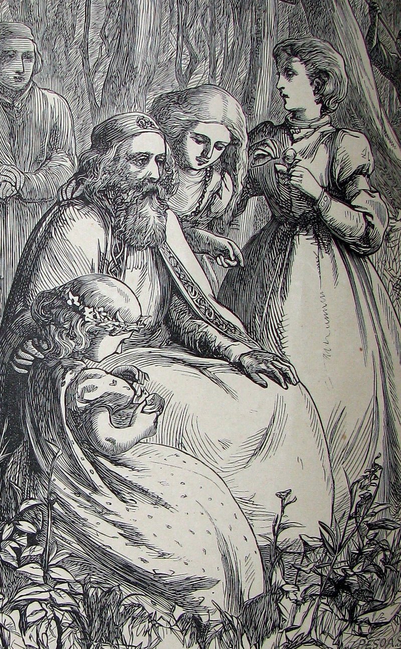 1872 Rare Book - Hans Christian Andersen - German FAIRY TALES illustrated.