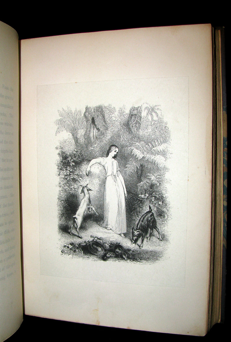 1839 Nice RIVIERE Binding - 1st Edition - PAUL and VIRGINIA by Bernardin De St Pierre.
