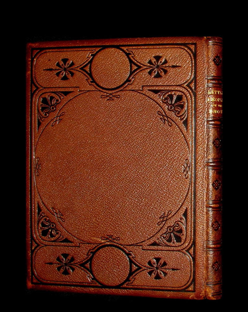 1873 Rare Romantic 1st Edition - The Little People of the Snow by William Cullen Bryant.
