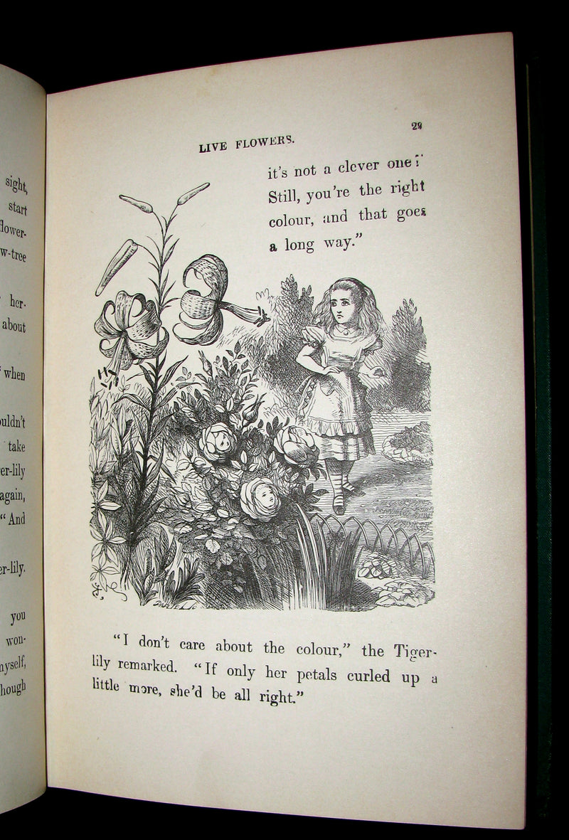 1889 Rare Book - Through the Looking-Glass, and What Alice Found There by Lewis Carroll.
