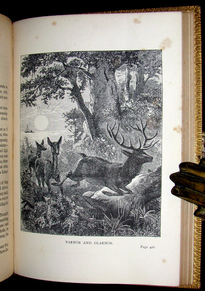 1884 Rare Victorian Edition - Hans Christian Andersen - FAIRY TALES and Sketches.