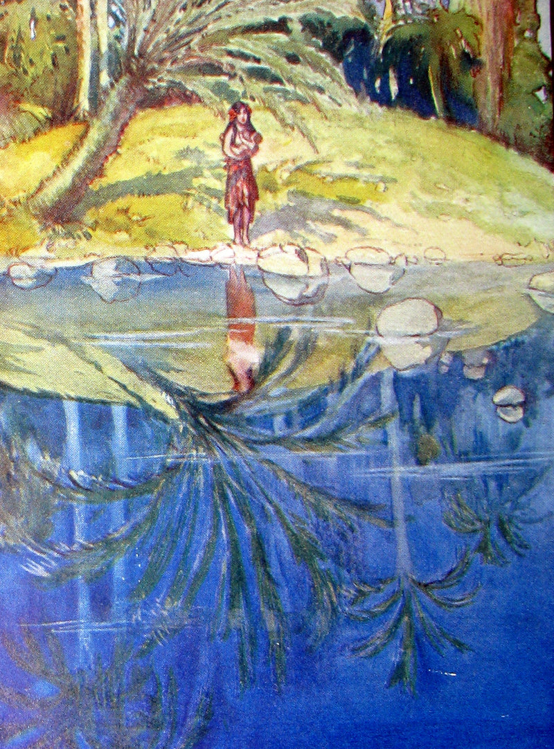 1910 Rare 1st Edition - The BLUE LAGOON by H. De Vere Stacpoole illustrated by Willy Pogany.