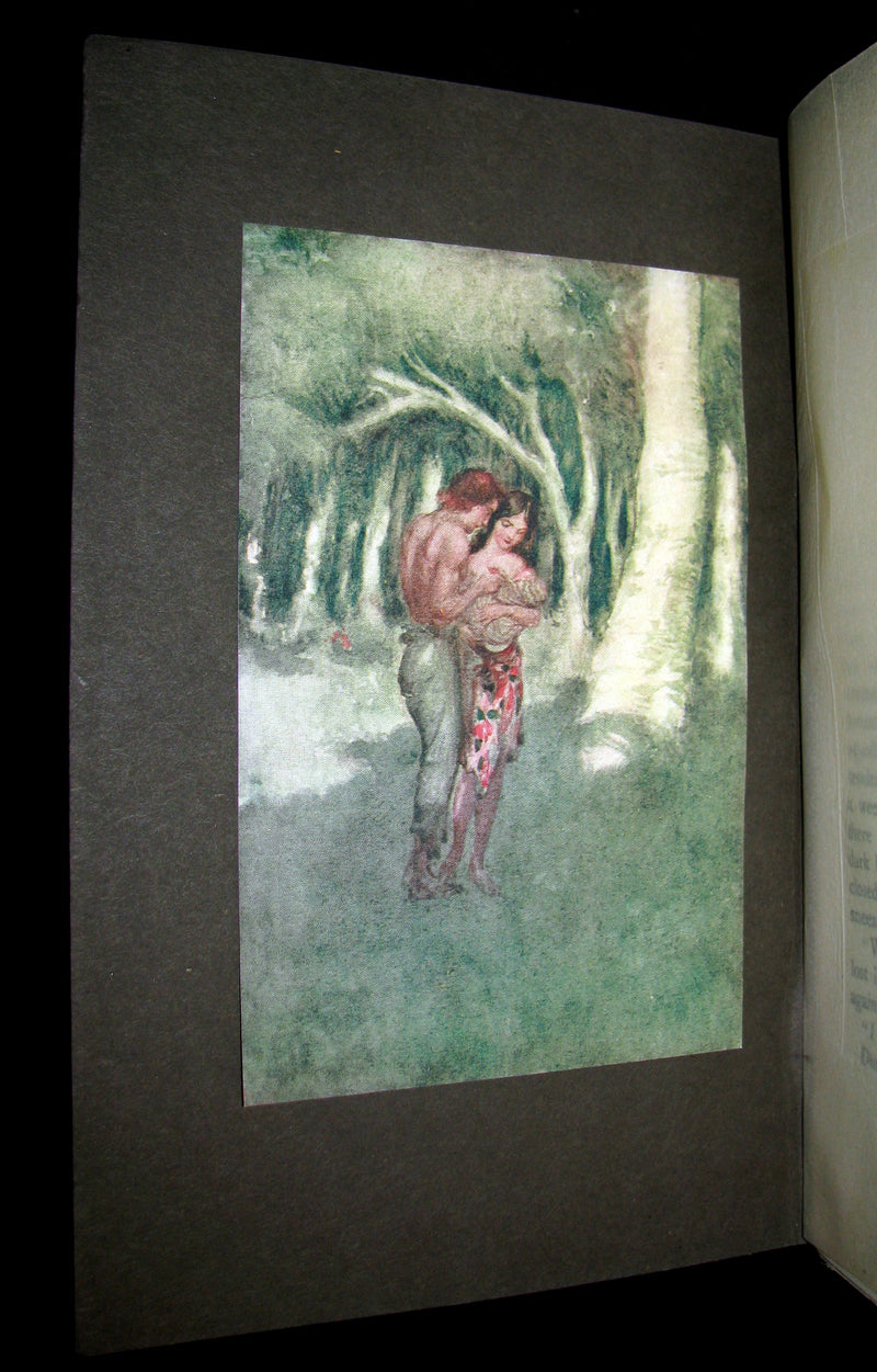 1910 Rare 1st Edition - The BLUE LAGOON by H. De Vere Stacpoole illustrated by Willy Pogany.
