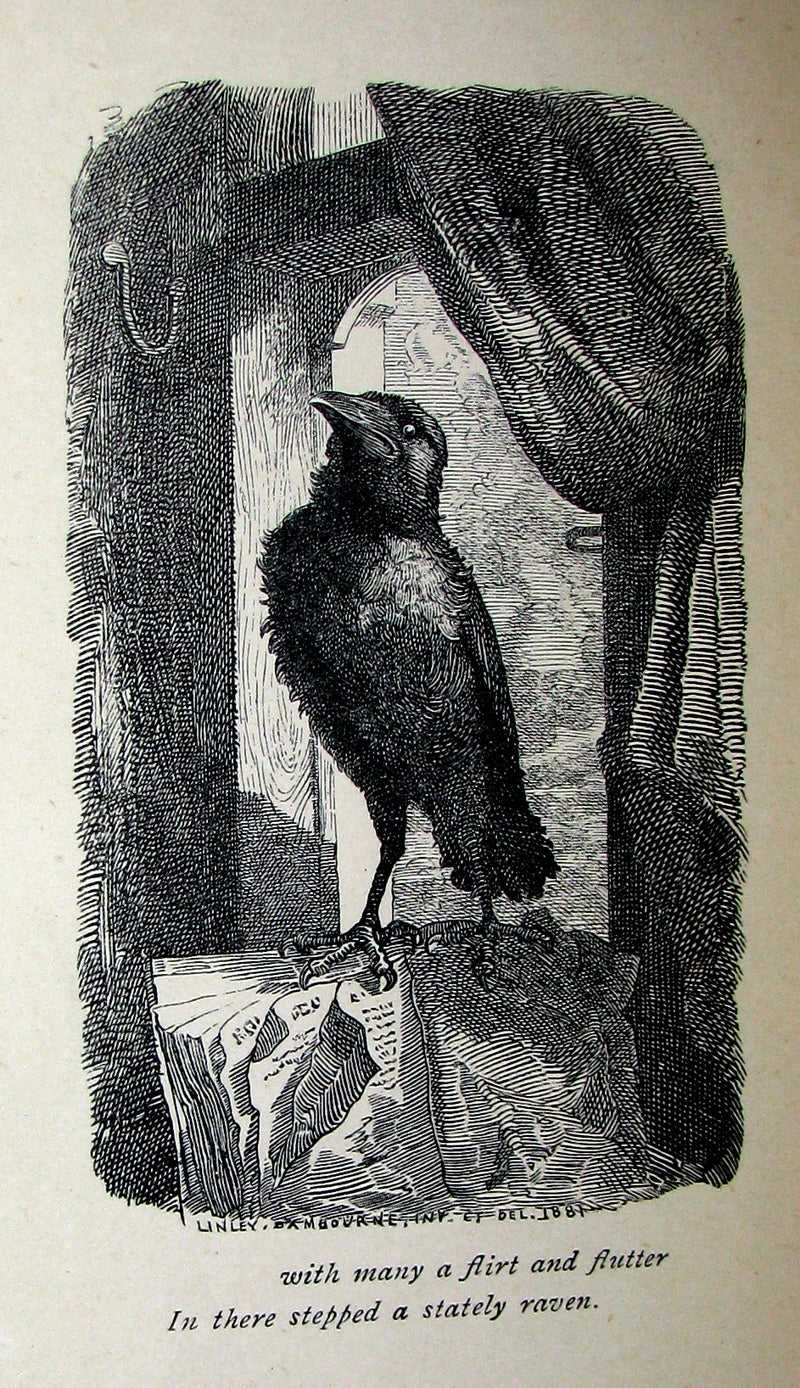 1885 Rare Book - The POEMS Of EDGAR ALLAN POE & An Essay on His Poetry by ANDREW LANG.