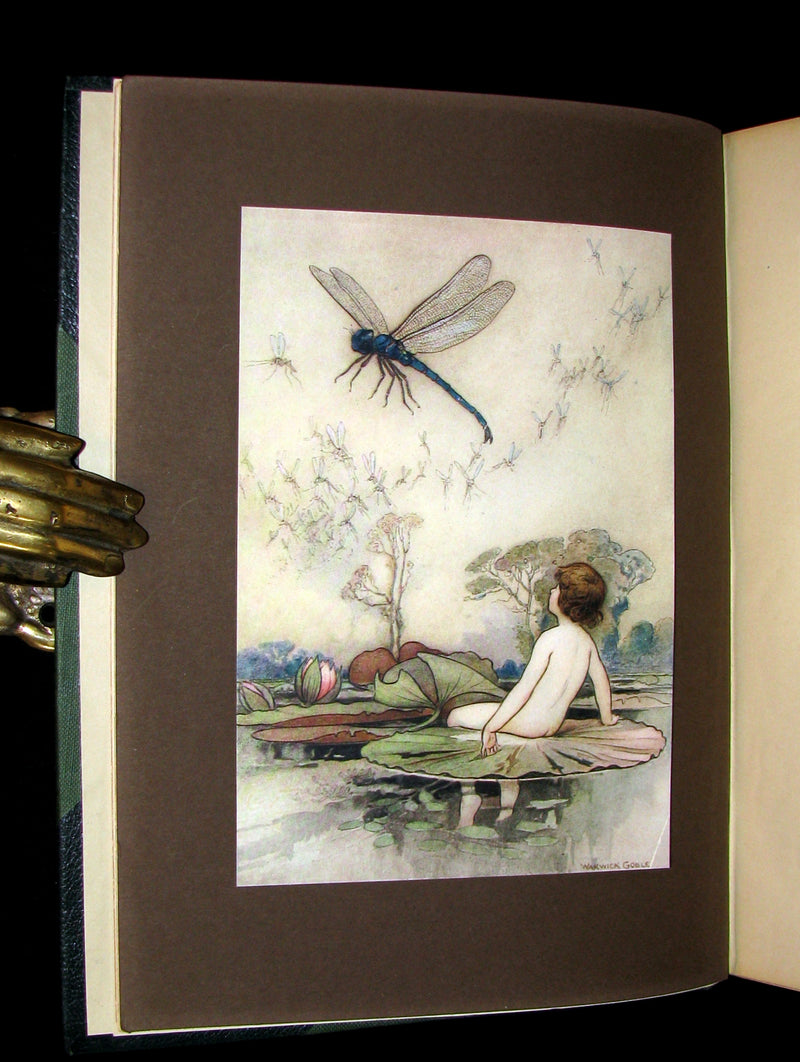 1909 Rare Book - Water-Babies Fairy Tale for a Land-Baby Illustrated by Warwick Goble. 1stED.