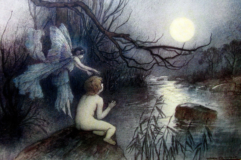 1909 Rare Book - Water-Babies Fairy Tale for a Land-Baby Illustrated by Warwick Goble. 1stED.