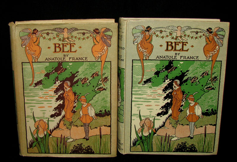 1934 Rare Book - BEE  The Princess of the Dwarfs by Anatole France illustrated by Charles Robinson.
