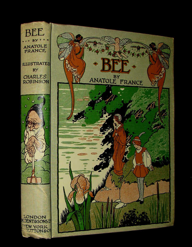 1934 Rare Book - BEE  The Princess of the Dwarfs by Anatole France illustrated by Charles Robinson.