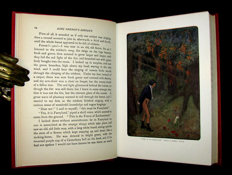 1911 Rare 1st ED - The Chronicles of Fairy Land by Fergus Hume illustrated by Maria L. Kirk.