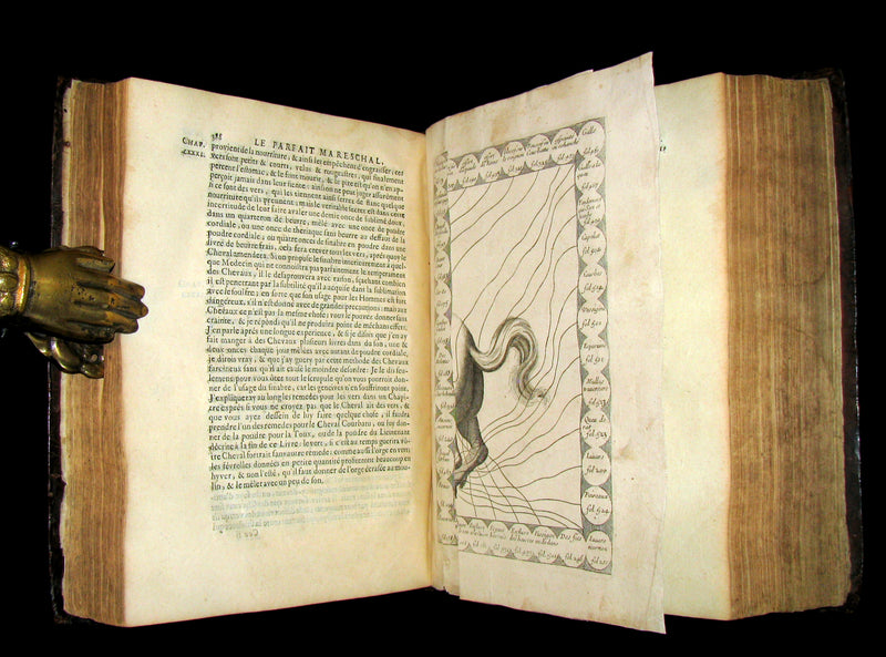 1698 Rare French Book ~The Complete Horseman- Le Parfait Mareschal - The Beauty, Goodness and Faults of HORSES.