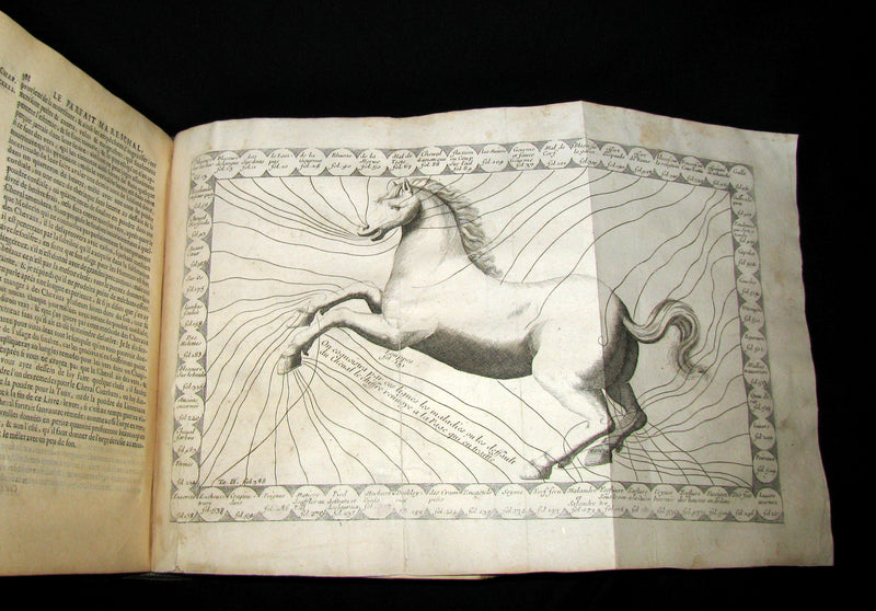 1698 Rare French Book ~The Complete Horseman- Le Parfait Mareschal - The Beauty, Goodness and Faults of HORSES.