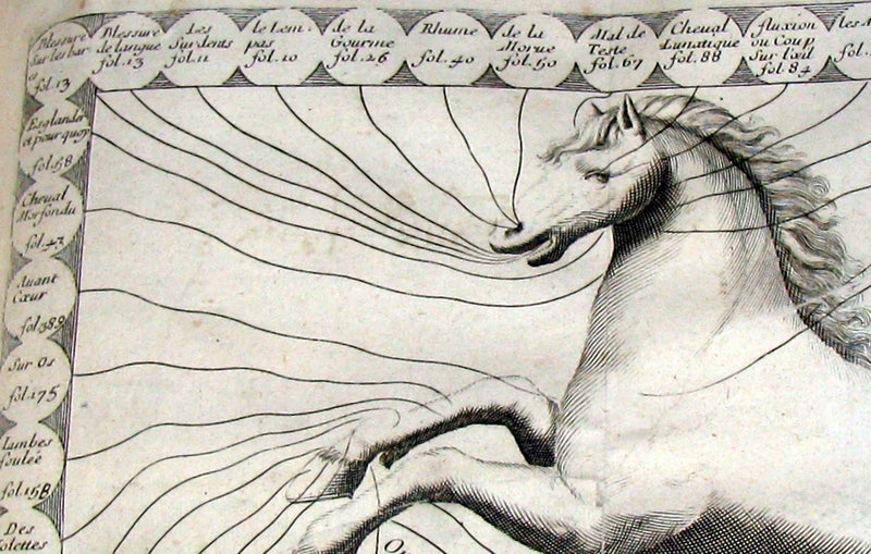 1698 Rare French Book ~The Complete Horseman- Le Parfait Mareschal - The Beauty, Goodness and Faults of HORSES.