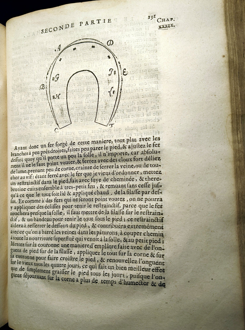 1698 Rare French Book ~The Complete Horseman- Le Parfait Mareschal - The Beauty, Goodness and Faults of HORSES.