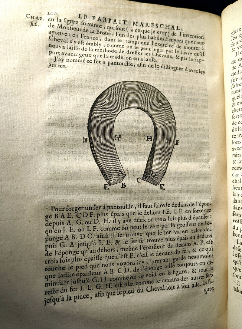 1698 Rare French Book ~The Complete Horseman- Le Parfait Mareschal - The Beauty, Goodness and Faults of HORSES.