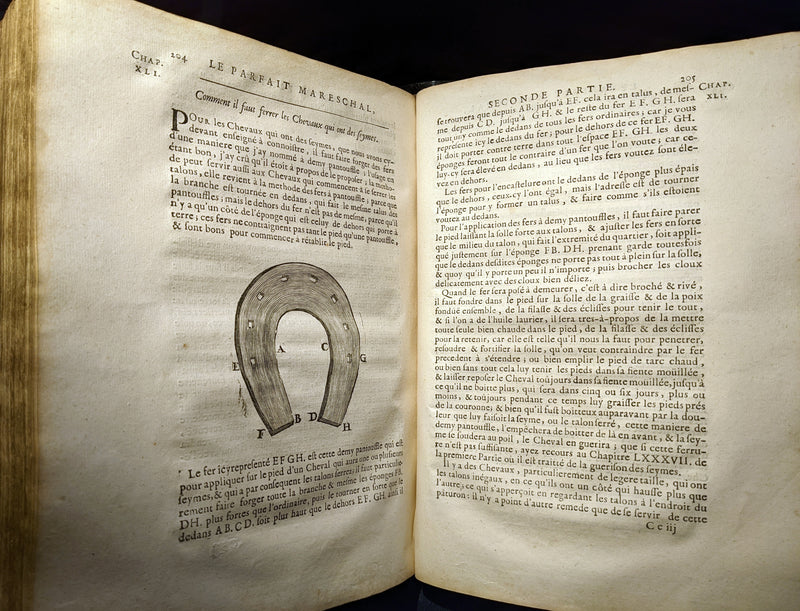 1698 Rare French Book ~The Complete Horseman- Le Parfait Mareschal - The Beauty, Goodness and Faults of HORSES.