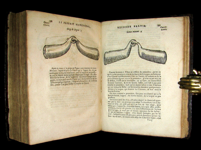 1698 Rare French Book ~The Complete Horseman- Le Parfait Mareschal - The Beauty, Goodness and Faults of HORSES.