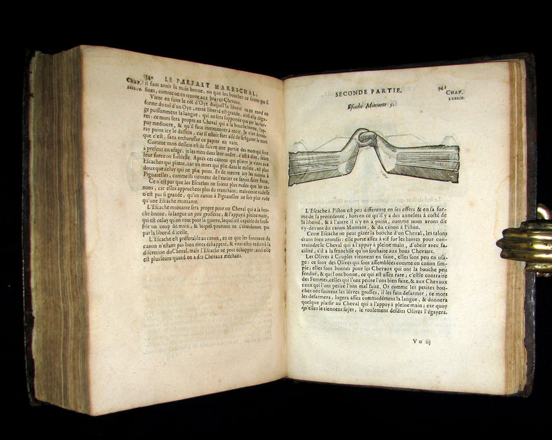 1698 Rare French Book ~The Complete Horseman- Le Parfait Mareschal - The Beauty, Goodness and Faults of HORSES.