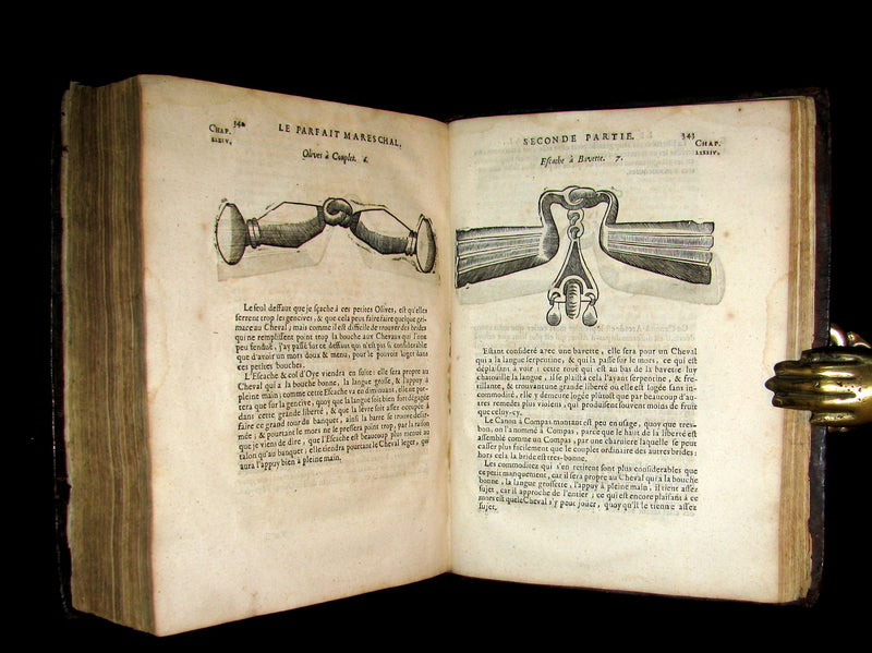 1698 Rare French Book ~The Complete Horseman- Le Parfait Mareschal - The Beauty, Goodness and Faults of HORSES.