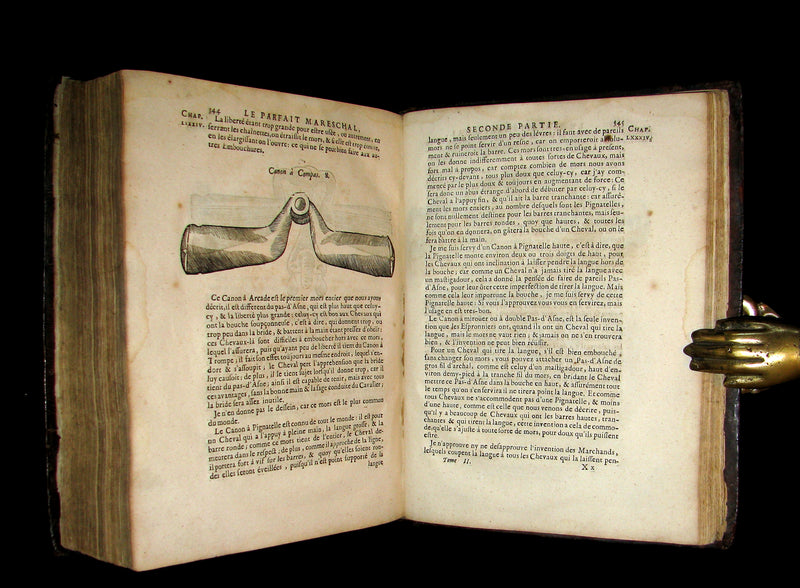 1698 Rare French Book ~The Complete Horseman- Le Parfait Mareschal - The Beauty, Goodness and Faults of HORSES.