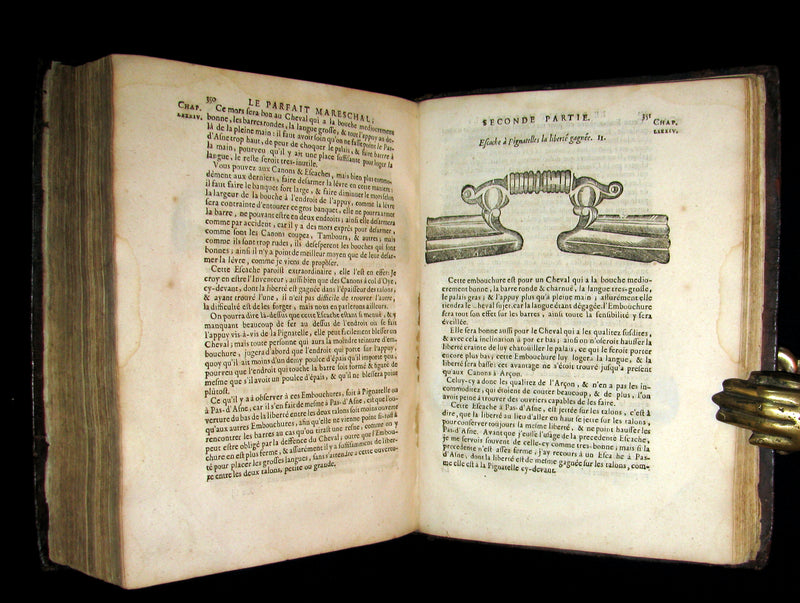 1698 Rare French Book ~The Complete Horseman- Le Parfait Mareschal - The Beauty, Goodness and Faults of HORSES.