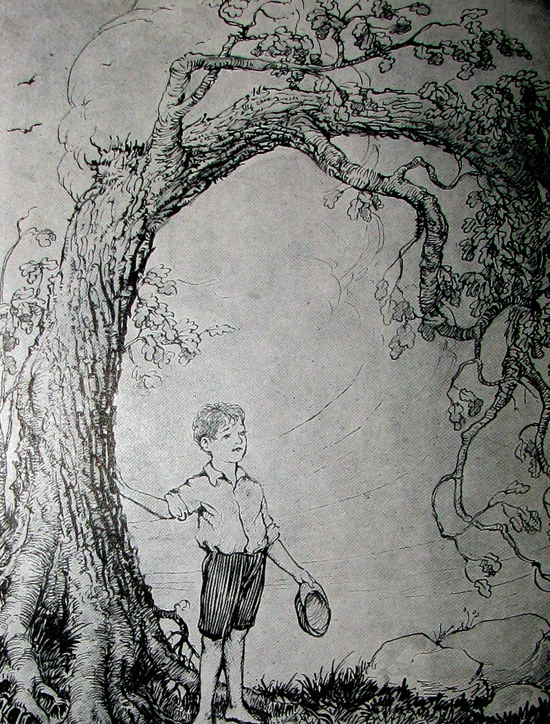 1912 Rare Book - The Little King and the Princess True illustrated by Milo Winter. 1stED.