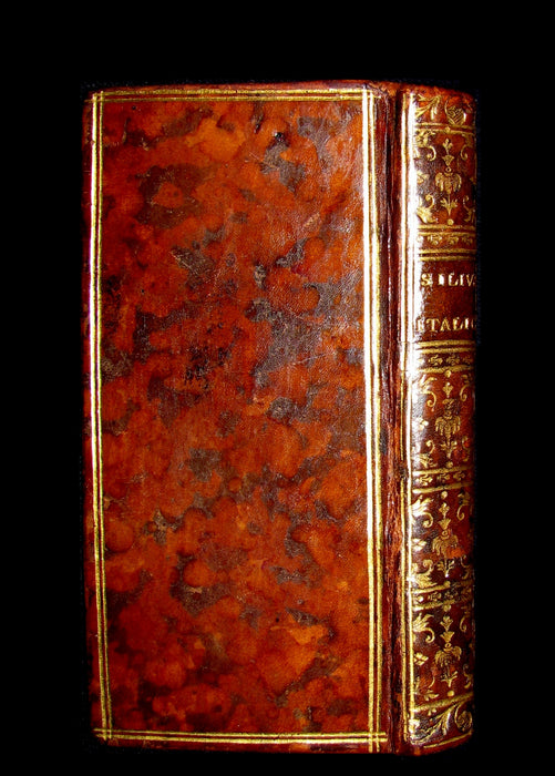 1628 Rare Latin Book - Silius ITALICUS De secundo Bello Punico -  War Against Hannibal - Second Punic War's Poem.