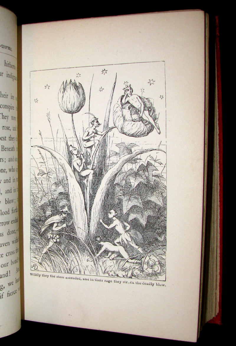 1890 Scarce Victorian Book - The Doyle Fairy Book Consisting of Twenty-Nine Fairy Tales with illustrations by Richard Doyle.