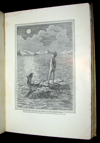 1911 Rare First Edition - PETER PAN - Peter and Wendy by James Matthew Barrie.