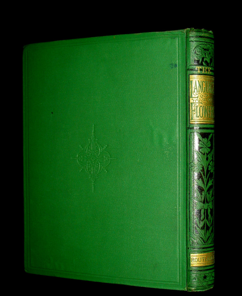 1875 Rare Floriography Book ~ The Language of Flowers by Robert Tyas, Color Illustrated.