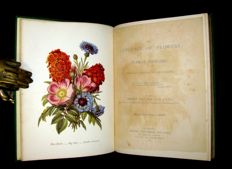 1875 Rare Floriography Book ~ The Language of Flowers by Robert Tyas, Color Illustrated.
