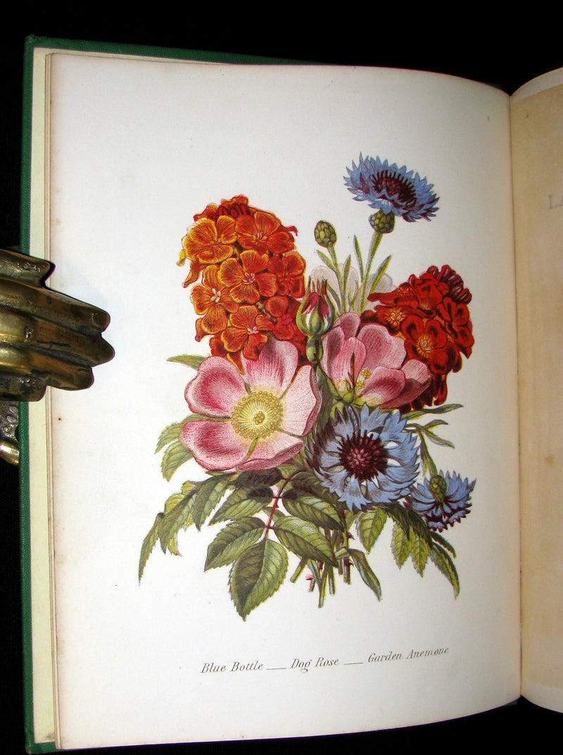 1875 Rare Floriography Book ~ The Language of Flowers by Robert Tyas, Color Illustrated.