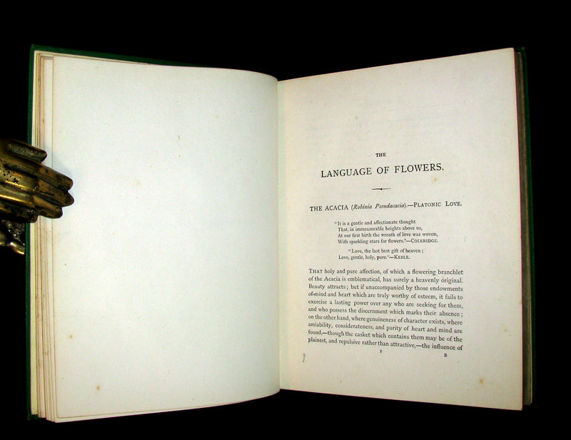 1875 Rare Floriography Book ~ The Language of Flowers by Robert Tyas, Color Illustrated.