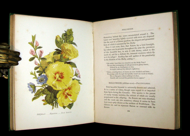 1875 Rare Floriography Book ~ The Language of Flowers by Robert Tyas, Color Illustrated.