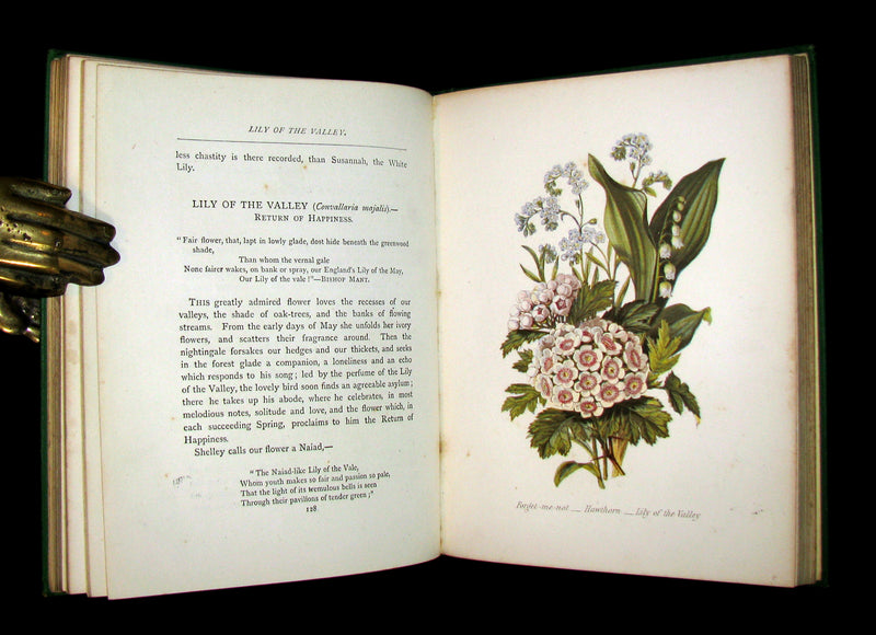 1875 Rare Floriography Book ~ The Language of Flowers by Robert Tyas, Color Illustrated.