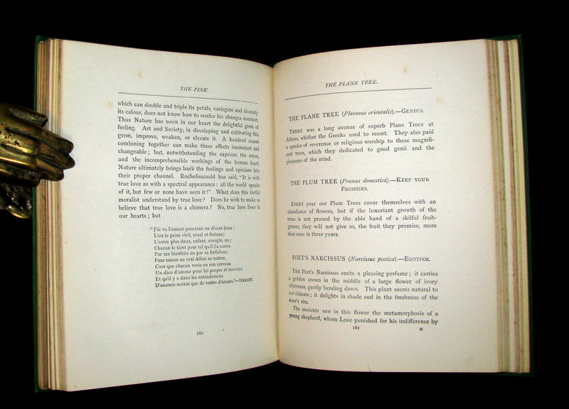 1875 Rare Floriography Book ~ The Language of Flowers by Robert Tyas, Color Illustrated.