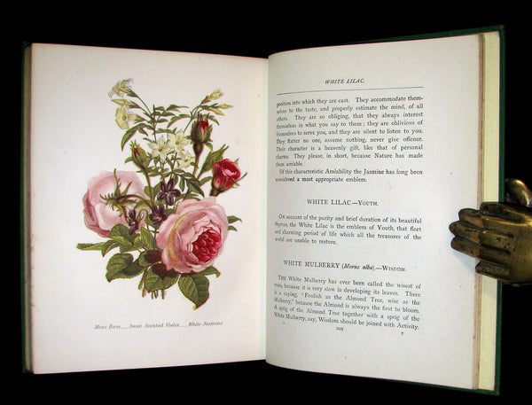 1875 Rare Floriography Book ~ The Language of Flowers by Robert Tyas, Color Illustrated.