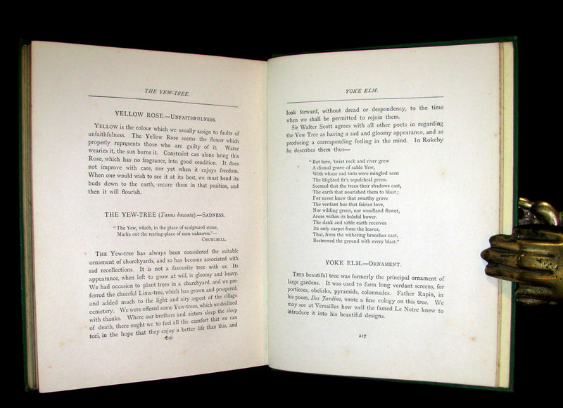 1875 Rare Floriography Book ~ The Language of Flowers by Robert Tyas, Color Illustrated.