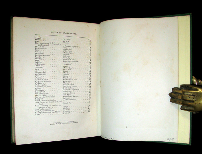 1875 Rare Floriography Book ~ The Language of Flowers by Robert Tyas, Color Illustrated.