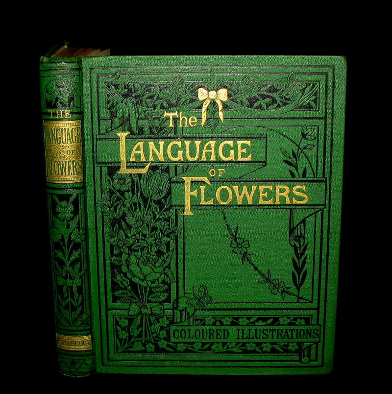 1875 Rare Floriography Book ~ The Language of Flowers by Robert Tyas, Color Illustrated.
