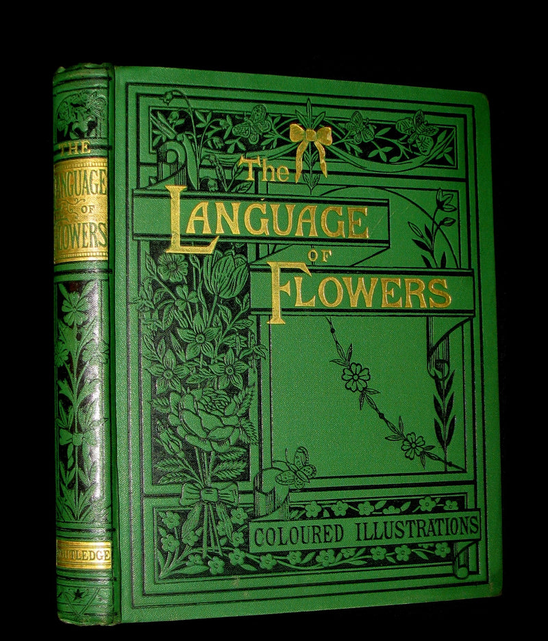 1875 Rare Floriography Book ~ The Language of Flowers by Robert Tyas, Color Illustrated.