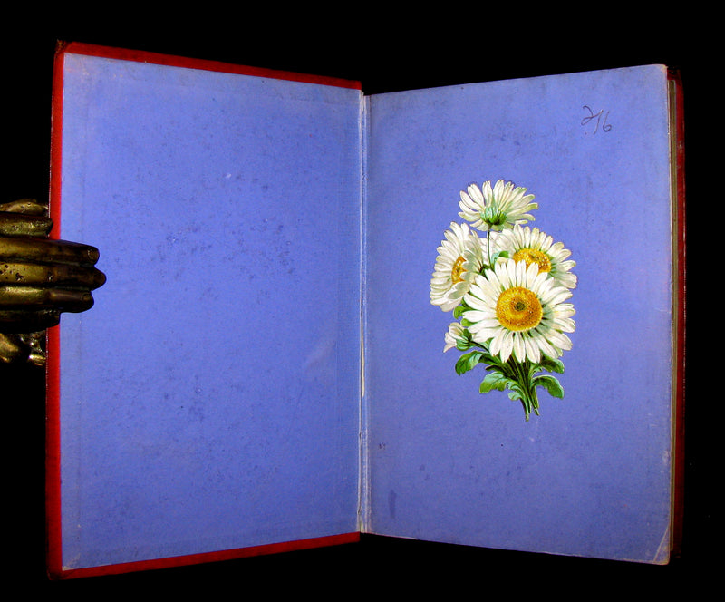 1870 Scarce Floriography Book ~ FLORA SYMBOLICA or The Language and Sentiment of Flowers by John Ingram.
