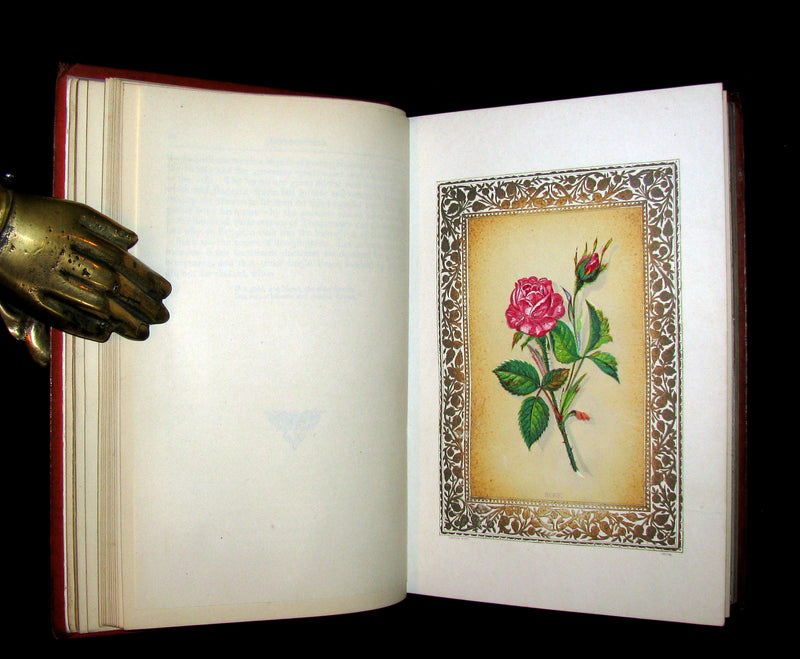1870 Scarce Floriography Book ~ FLORA SYMBOLICA or The Language and Sentiment of Flowers by John Ingram.