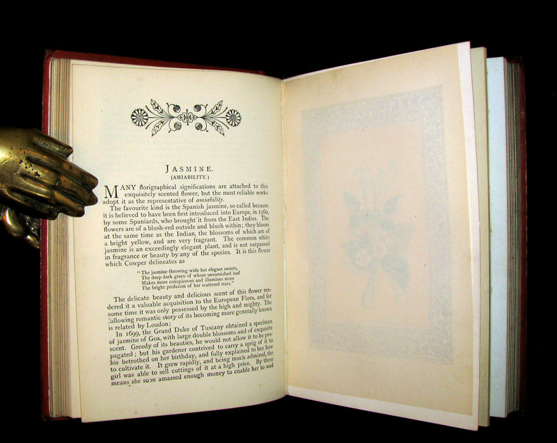 1870 Scarce Floriography Book ~ FLORA SYMBOLICA or The Language and Sentiment of Flowers by John Ingram.