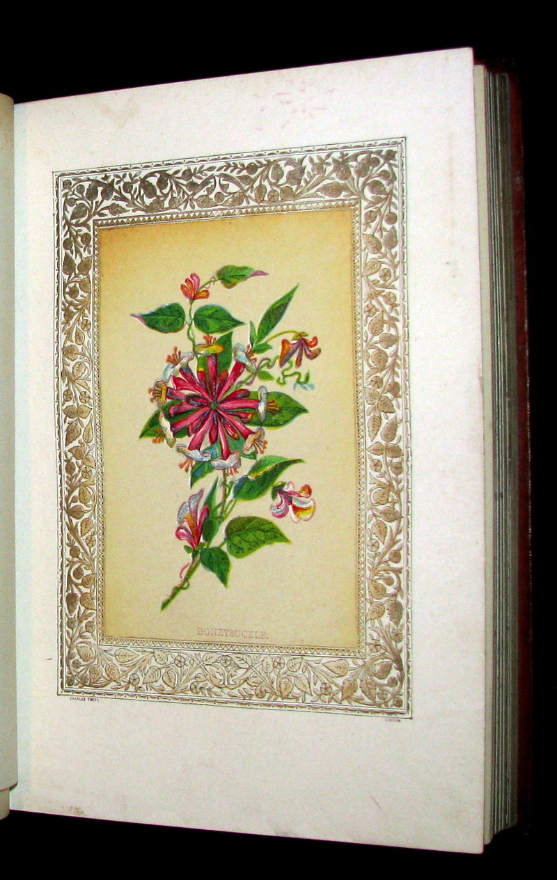 1870 Scarce Floriography Book ~ FLORA SYMBOLICA or The Language and Sentiment of Flowers by John Ingram.