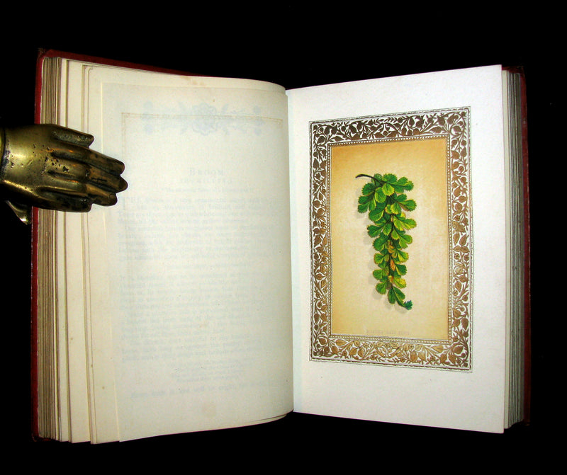 1870 Scarce Floriography Book ~ FLORA SYMBOLICA or The Language and Sentiment of Flowers by John Ingram.