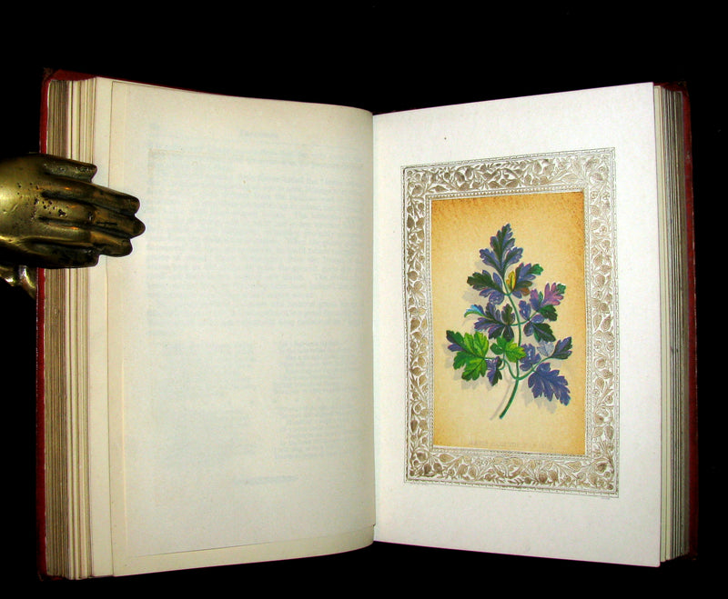 1870 Scarce Floriography Book ~ FLORA SYMBOLICA or The Language and Sentiment of Flowers by John Ingram.